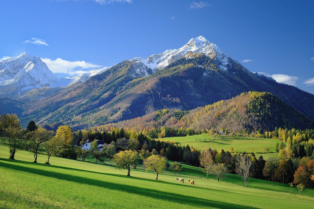 Mountain