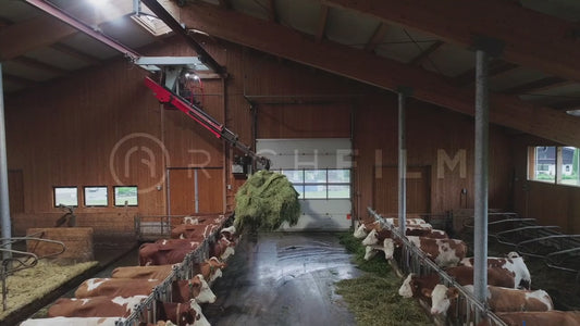 Recording the feeding and distribution of hay in the cow barn