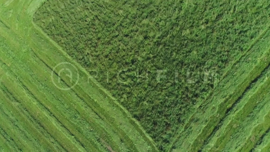 Aerial view of a tractor mowing a field from the bird's eye view.