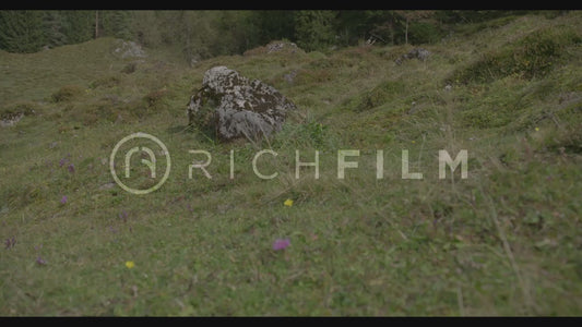 Shot of two mountain bikers riding up a steep hill with a forest in the background from the ground