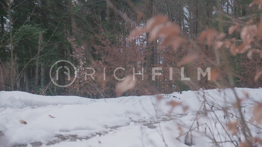 Slow motion shot of a mountain biker on a snow-covered road in winter