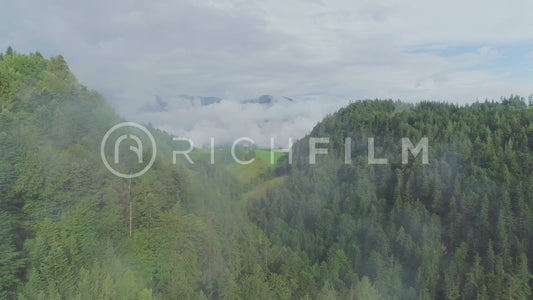 Aerial view of mountain landscape with low clouds and forest