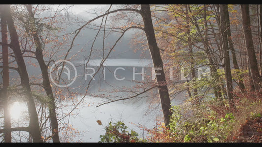 Shot of a lake with an orange-coloured forest with a slight reflection of the sun