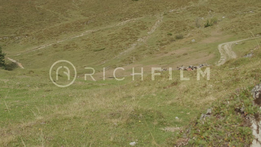 Slow motion shot of two mountain bikers riding up a green hill in summer