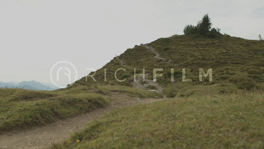 Slow motion shot of mountain biker riding up a green hill, front view in summer