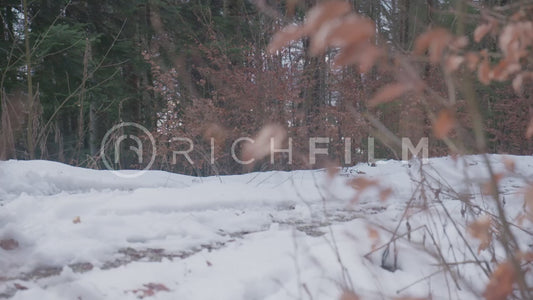 Slow motion shot of a biker riding through a forest in winter