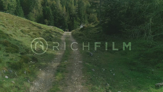 Aerial view of mountain bikers riding a field next to a forest in summer