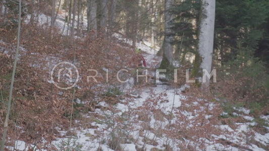 Slow motion shot of a mountain biker riding through a dense forest in winter