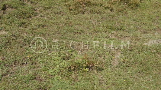 Close-up of a mountain bike tyre on a small mountain climb