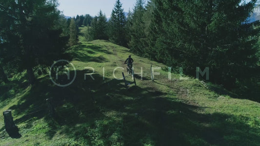 Aerial view of a mountain biker riding through an open forest in summer